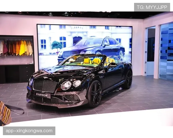 拉菲尼亚买的那辆车，是不是直接开进了土豪车展？