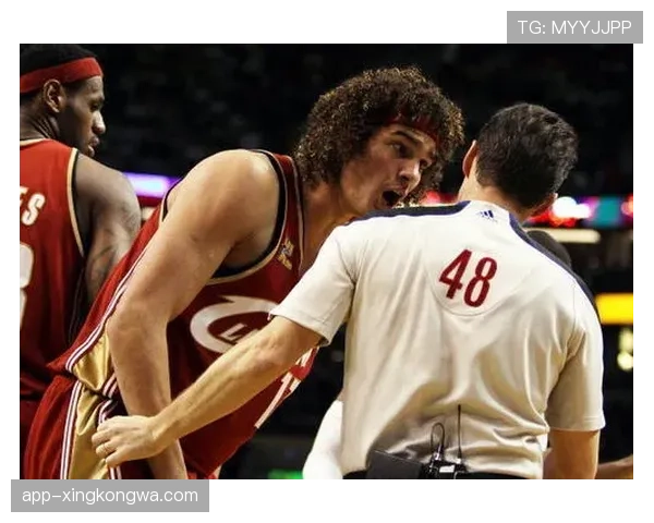 查尔斯·巴克利篮下强攻拉开与拉里·伯德篮板对比差异明显